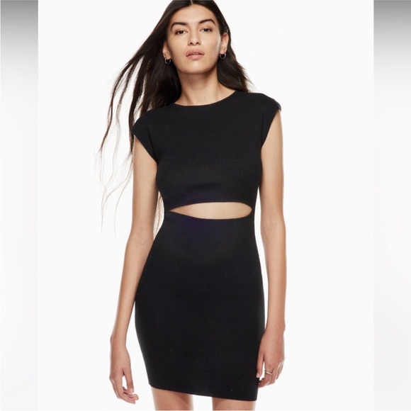 NWT Wilfred Free Cut-Out Knit Mini Dress - Picture 3 of 11